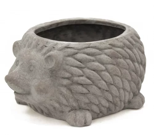 Sündisznó kaspó, Szürke