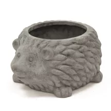 Sündisznó kaspó, Szürke