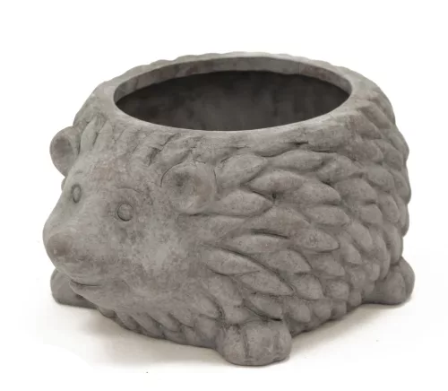 Sündisznó kaspó, Szürke