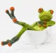 Fürdőző béka dísz, Zöld