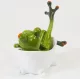 Fürdőző béka dísz, Zöld