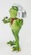 Béka séf dísz, Zöld