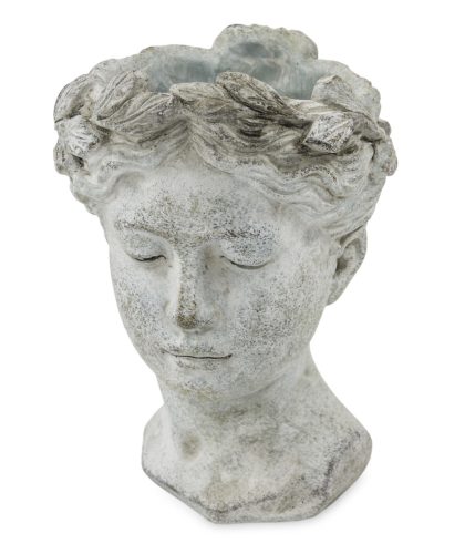 Afrodité kaspó, Szürke
