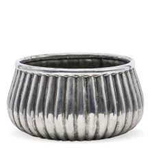 Csíkozott kaspó, Ezüst