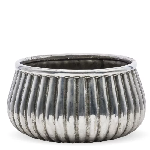 Csíkozott kaspó, Ezüst