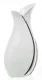 Ezüstös váza, Fehér