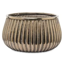 Csíkozott kaspó, Bronz