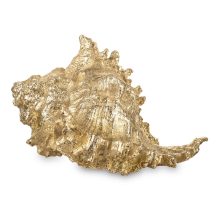 Tengeri csiga, Arany