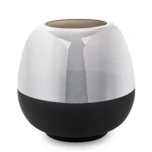 Ezüstös üveg váza, Fekete