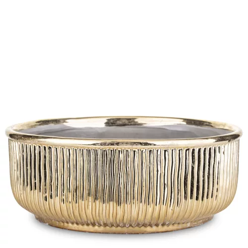 Csíkozott kaspó, Arany