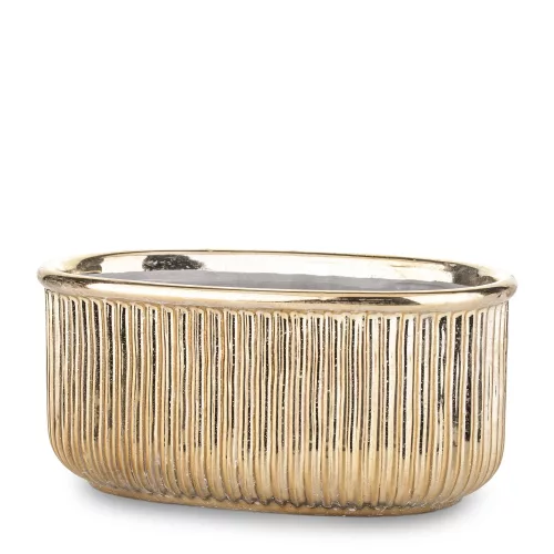 Csíkozott kaspó, Arany