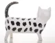 Fekete mintás cica dísz, Fehér