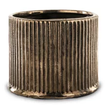 Csíkozott kaspó, Bronz