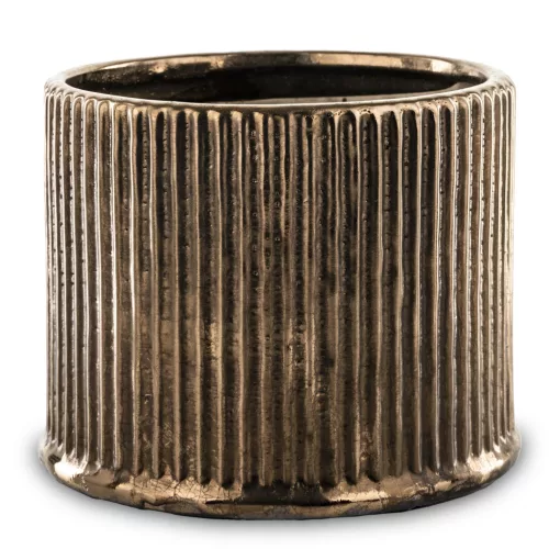 Csíkozott kaspó, Bronz