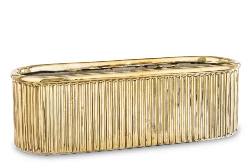 Csíkozott kaspó, Arany