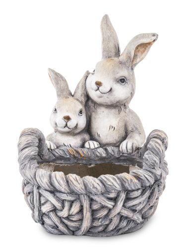 Nyuszis kaspó, Szürke