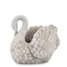 Hattyú kaspó, Szürke