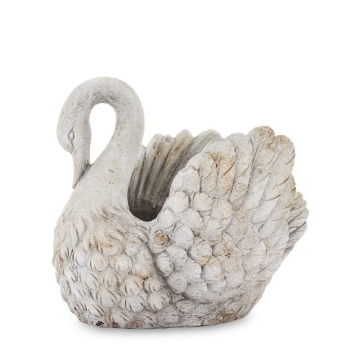 Hattyú kaspó, Szürke