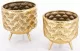 Keleti stílusú kaspó szett, Arany