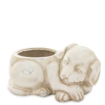 Kiskutya kaspó, Bézs