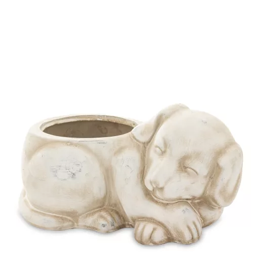 Kiskutya kaspó, Bézs