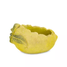 Citrom kaspó, Sárga