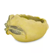 Citrom kaspó, Sárga