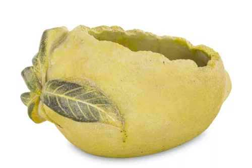 Citrom kaspó, Sárga