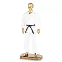 Karate harcos szobor, Fehér