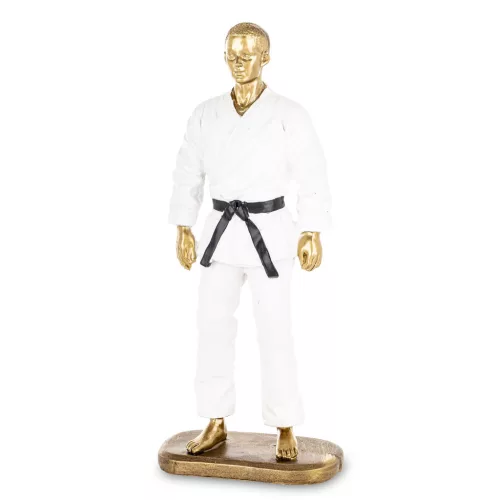 Karate harcos szobor, Fehér