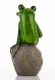 Söröző béka dísz, Zöld