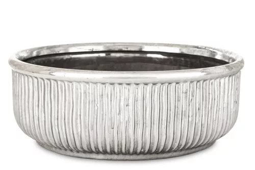 Csíkozott kaspó, Ezüst