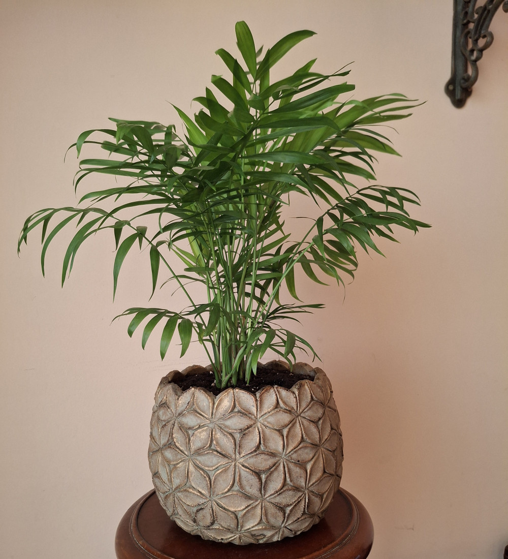 Virágmintás kaspó, Bronz
